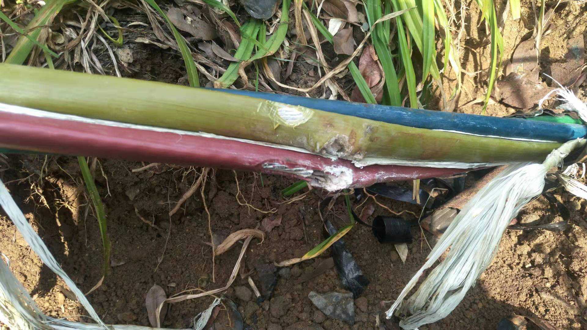 高壓信號產生器廠家